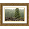 thumbnail image 1 of Berzel, Erin 24x17 Gold Ornate Wood Framed with Double Matting Museum Art Print Titled - Willamette Natl Forest VI, 1 of 4