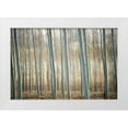 thumbnail image 1 of Berzel, Erin 24x17 White Modern Wood Framed Museum Art Print Titled - Pacific Albus III, 1 of 4