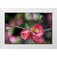 thumbnail image 1 of Berzel, Erin 24x17 White Modern Wood Framed Museum Art Print Titled - Pink Blossoms, 1 of 4