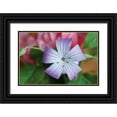 thumbnail image 1 of Berzel, Erin 32x23 Black Ornate Wood Framed with Double Matting Museum Art Print Titled - Delicate Flower II, 1 of 4