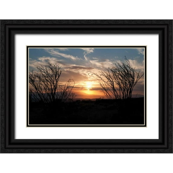 Berzel, Erin 32x23 Black Ornate Wood Framed with Double Matting Museum Art Print Titled - Ocotillo Cactus II