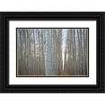 thumbnail image 1 of Berzel, Erin 32x23 Black Ornate Wood Framed with Double Matting Museum Art Print Titled - Pacific Albus VI, 1 of 4