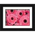thumbnail image 1 of Berzel, Erin 32x23 Black Ornate Wood Framed with Double Matting Museum Art Print Titled - Pink Gerbera Daisies III, 1 of 4