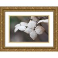 thumbnail image 1 of Berzel, Erin 32x23 Gold Ornate Wood Framed with Double Matting Museum Art Print Titled - Flower Skeleton II, 1 of 4
