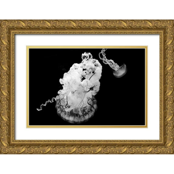 Berzel, Erin 32x23 Gold Ornate Wood Framed with Double Matting Museum Art Print Titled - Jellyfish Glow VII