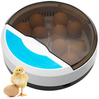  Egg Incubator, 128 Eggs Fully Automatic Poultry Hatcher Machine,  Led Candler Automatic Egg Turner Temperature Control, Chicken Incubators  Used to Hatch Chickens Bird Egg,D : Patio, Lawn & Garden
