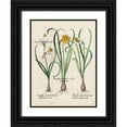 thumbnail image 1 of Besler, Basilius 15x18 Black Ornate Wood Framed with Double Matting Museum Art Print Titled - Besler Narcissus I, 1 of 4