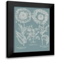 thumbnail image 1 of Besler, Basilius 19x24 Black Modern Framed Museum Art Print Titled - Besler Poppies I, 1 of 5