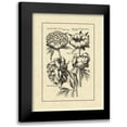 thumbnail image 1 of Besler, Basilius 19x24 Black Modern Framed Museum Art Print Titled - Vintage Besler II, 1 of 5