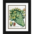 thumbnail image 1 of Besler, Basilius 19x24 Black Ornate Wood Framed with Double Matting Museum Art Print Titled - Cactus, 1 of 4