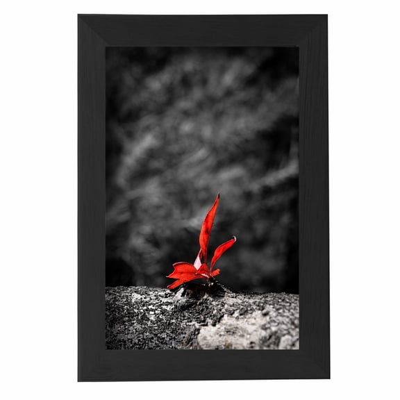 Besly 13x19 Picture Frames Photo Frames Display Pictures Matted 9x12,11x14,11x17,13x19,A3,A4 Rectangle Wall Gallery Photo Frames-Black
