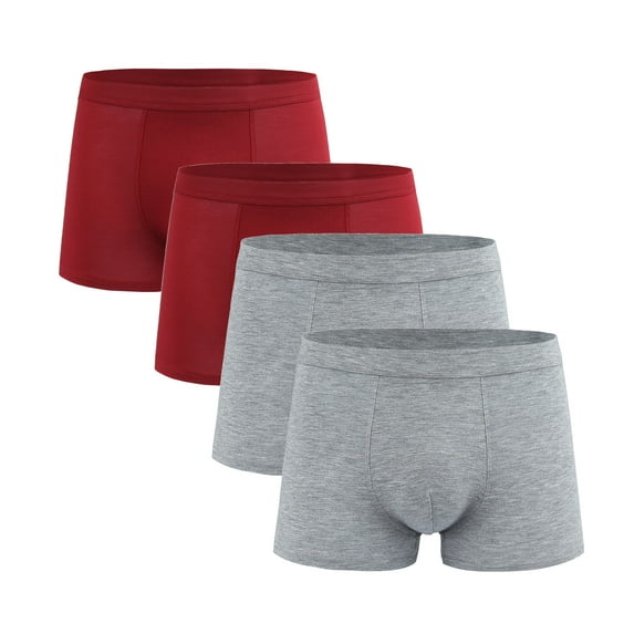 Besolor Men's 4 Pack Briefs Big and Talls Comfort Breathable Elastic Waist Stretch Wicking Underwear for Men