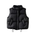 thumbnail image 1 of Besolor Toddler Kids Girls Puffer Vests Sleeveless Lightweight Casual Fall Winter Thicken Warm Button Waistcoat Coat with Pockets(10-11 Years,Black), 1 of 5