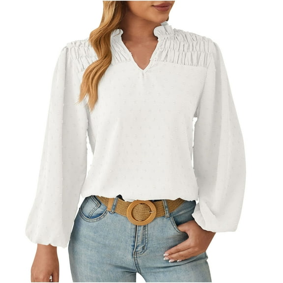 Besolor Womens Trendy Blouse V Neck Lantern Long Sleeve Swiss Dot Business Casual Tops Smocked Shirts Tunics