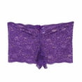 thumbnail image 1 of Besolor Womens Seamless Lace Briefs Mid Waist Breathable Panties Stretch Plus Size Sheer Open Underwear Lingerie, 1 of 3