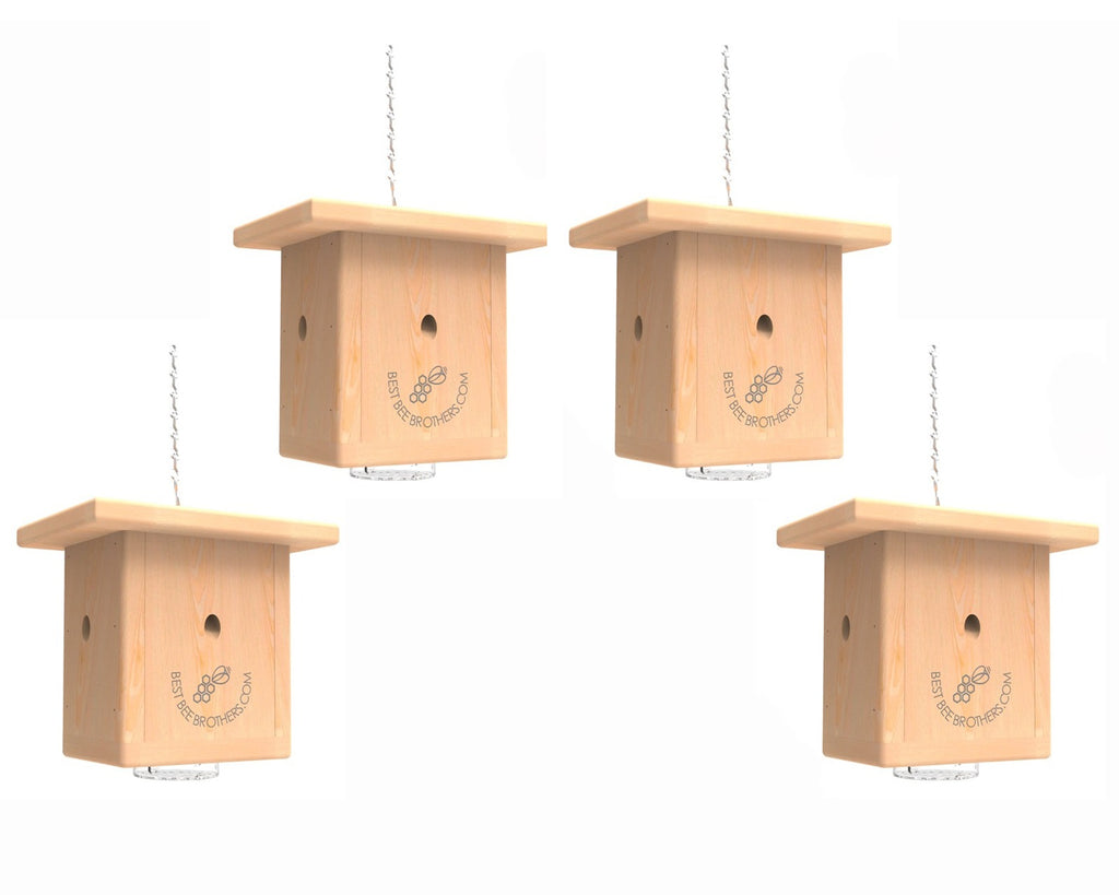 Best Bee Brothers Carpenter Bee Trap Pine Wood Trap 4 Pack