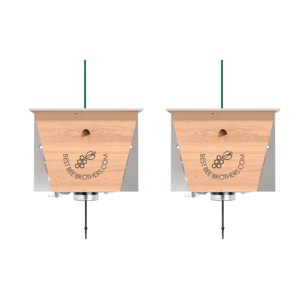 Best Bee Brothers Carpenter Bee Trap Turbo 2.0 with Bee Vault 2 Pack