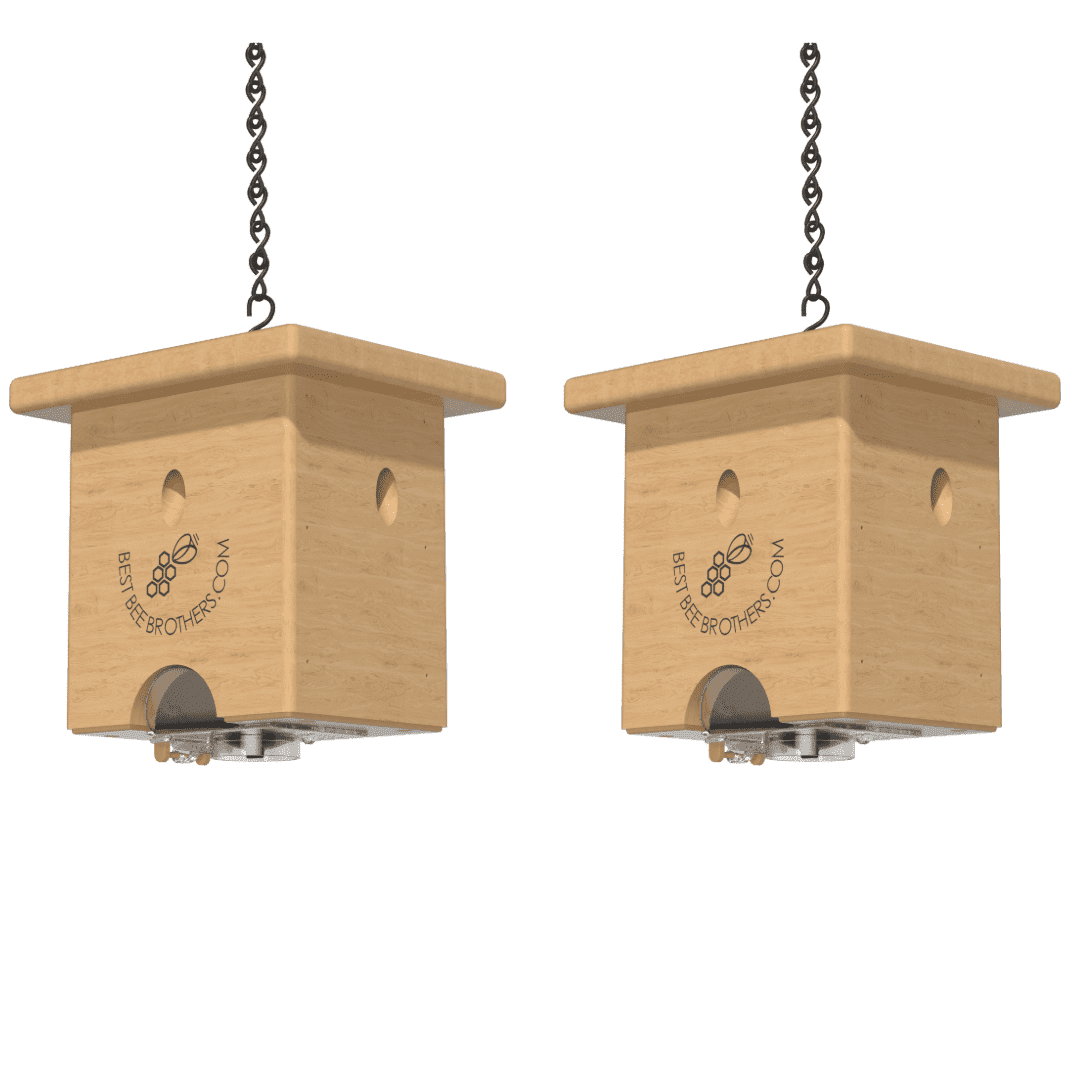 Best Bee Brothers Pine Turbo Trap Outdoor 2-Door Carpenter Bee Trap, 2 Count