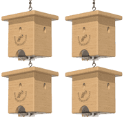 Best Bee Brothers Eco-friendly Pine Turbo Trap Outdoors Carpenter & Wood Bees, 4 Count
