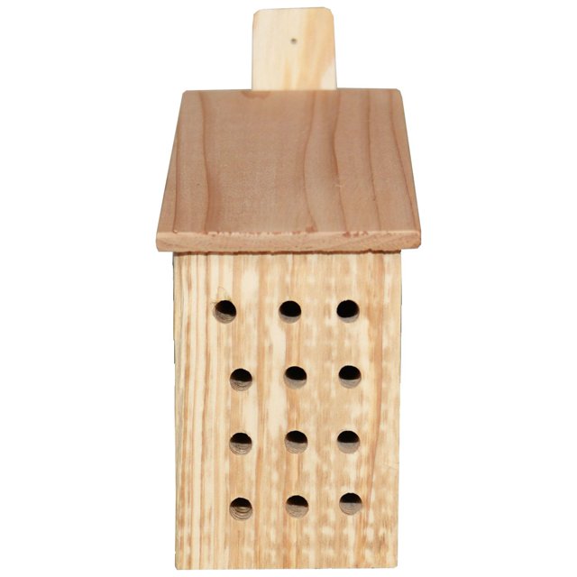 Best Bee Brothers Slanted Roof Mason Bee Home and other Solitary Bee