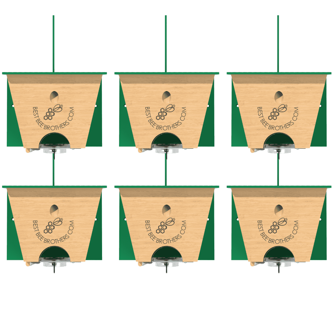 Best Bee Brothers Turbo Trap 2.0 with Bee Vault 6 Pack for Carpenter Bees Trap