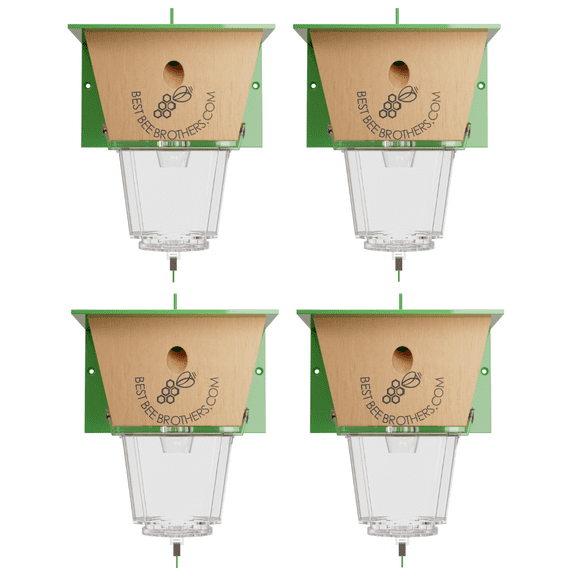 Best Bee Brothers Ultimate Carpenter Bee Trap for Outside with Large, Clear External Bee Vault & Spring-Loaded Door, 5.75"L x 6"W x 4.5"H, 4 Pack