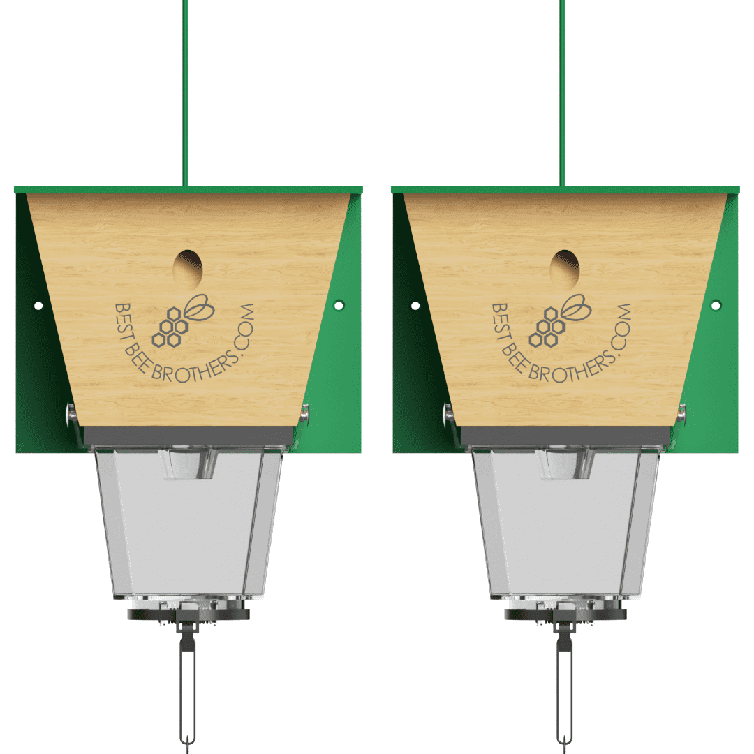 Best Bee Brothers Ultimate Pro Carpenter Bee Trap for Outside with Extra-Large, Clear External Bee Vault & Spring-Loaded Door, 4.2” D x 5.8” W x 7.5” H, 2 Pack
