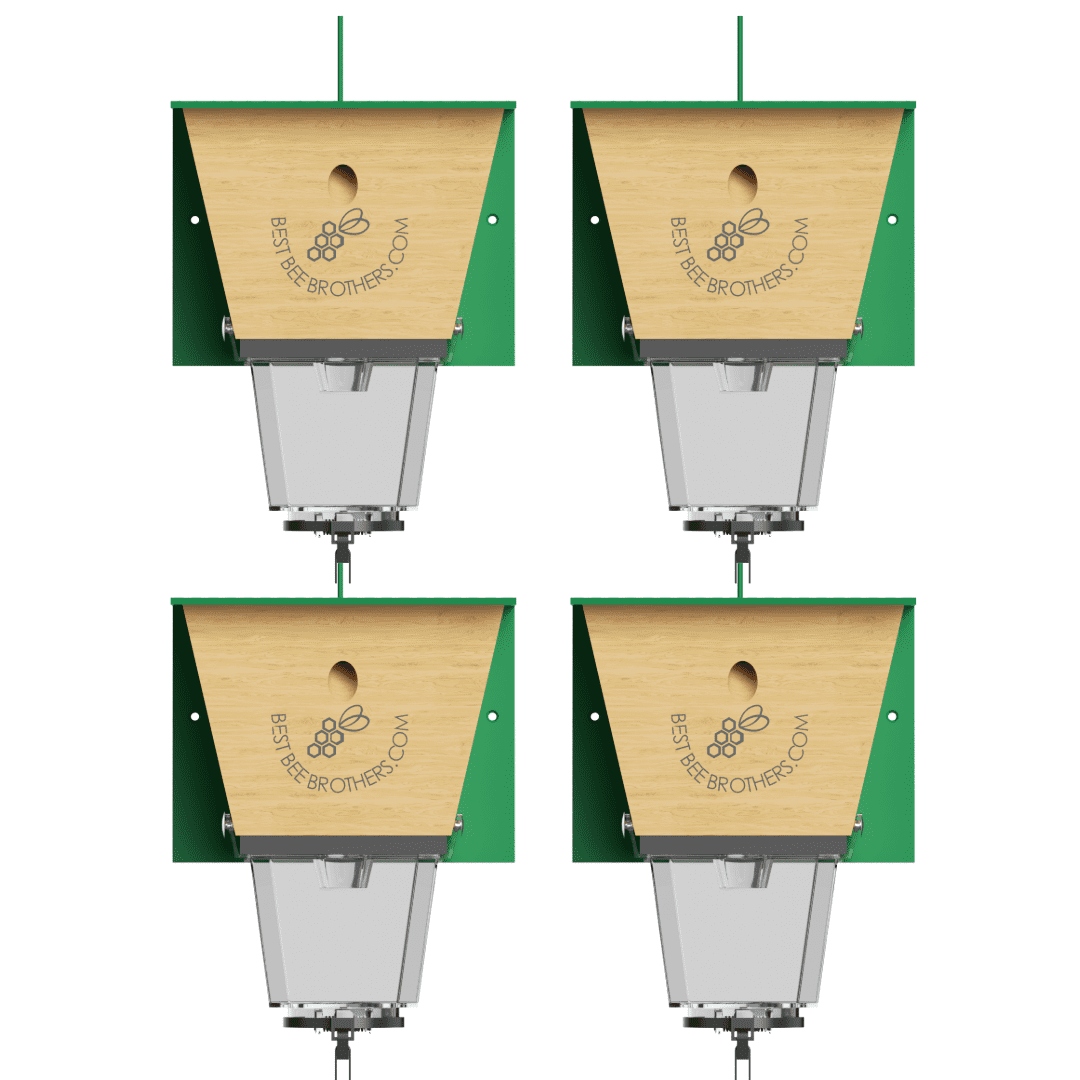 Best Bee Brothers Ultimate Pro Carpenter Bee Trap for Outside with Extra-Large, Clear External Bee Vault & Spring-Loaded Door, 4.2” D x 5.8” W x 7.5” H, 4 Pack