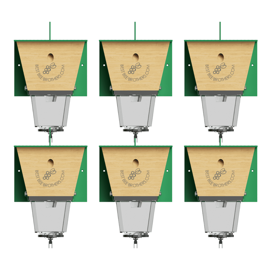 Best Bee Brothers Ultimate Pro Carpenter Bee Trap for Outside with Extra-Large, Clear External Bee Vault & Spring-Loaded Door, 4.2” D x 5.8” W x 7.5” H, 6 Pack