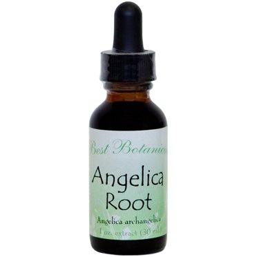 Angelica Root-approx 1 Ounce - Divine Sanctuary