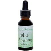 Best Botanicals Black Elderberry Extract 1 oz.