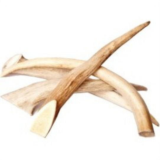 Best Buy Bones USA Naturally Shed Antlers in Header Card