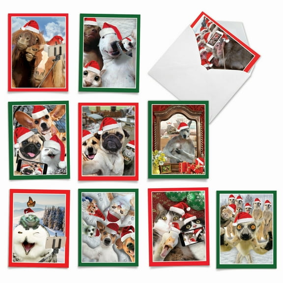 The Best Card Company 10 Assorted Blank Christmas Notes Bulk Set 4 x 5.12 Inch with Envelopes (10 Designs, 1 Each) HOLIDAY ANIMAL SELFIE: 10 Assorted Blank Note Cards. M2373XSB