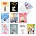 thumbnail image 1 of The Best Card Company 10 Assorted Funny Birthday Pet Note Cards Box Set 4 x 5.12 Inch with Envelopes (10 Designs, 1 Each) Cat-Sent Greetings AM6112BPG-B1x10, 1 of 6