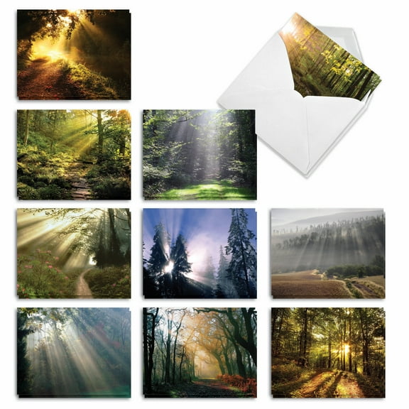The Best Card Company 20 Assorted Sympathy Thank You Notecards Bulk Box Set 4 x 5.12 Inch with Envelopes (10 Designs, 2 Each) Shining Through AM1735STG-B2x10
