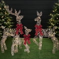 thumbnail image 1 of Best Choice Products 3-Piece 2D Deer Family Set, Lighted Christmas Outdoor Decoration w/ 175 Lights, Stakes - Rattan, 1 of 8