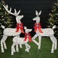 thumbnail image 1 of Best Choice Products 3-Piece 2D Deer Family Set, Lighted Christmas Outdoor Decoration w/ 175 Lights, Stakes - Silver, 1 of 8