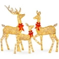 thumbnail image 1 of Best Choice Products 6.5ft 3-Piece Lighted Christmas Deer Set Outdoor Yard Decoration w/ 385 LED Lights, Stakes - Gold, 1 of 7