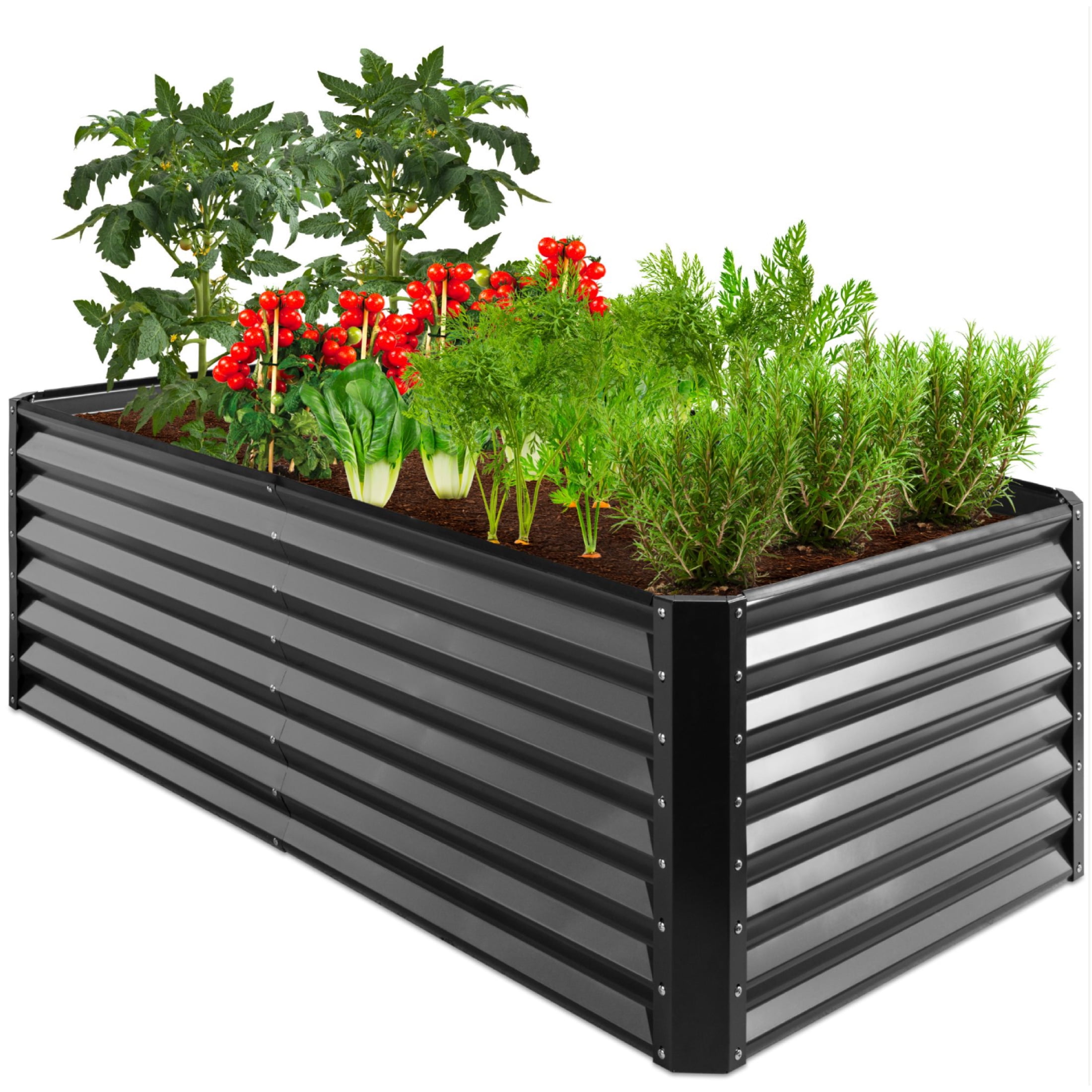 Best Choice 6x3x2ft Metal Raised Garden Bed, Plant