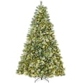 thumbnail image 1 of Best Choice Products 9ft Pre-Lit Frosted Scotch Pine Christmas Tree w/ 2,020 Branch Tips, 600 2-in-1 LED Lights, 1 of 10