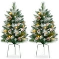 thumbnail image 1 of Best Choice Products Set of 2 24.5in Outdoor Frosted Scotch Pine Pathway Christmas Trees Decor w/ LED Lights, Pine Cones, 1 of 7