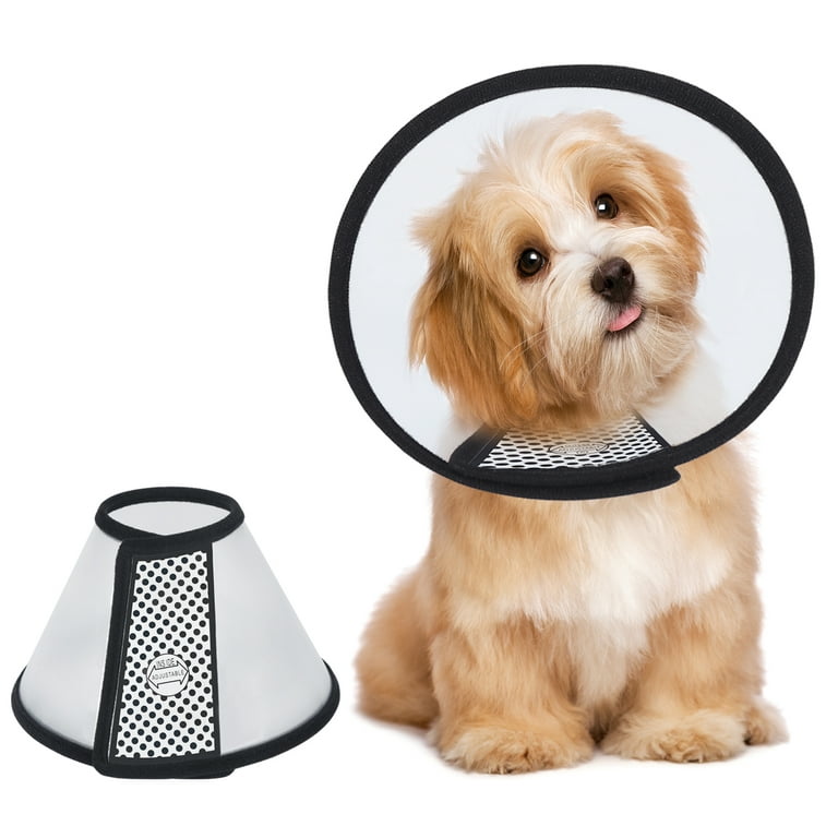Best Dog Cone for Small Dogs, Adjustable Recovery Pet Cone, 10.1 Inches  Lightweight Plastic Elizabethan Collar for Small Cats Dogs to Stop Licking
