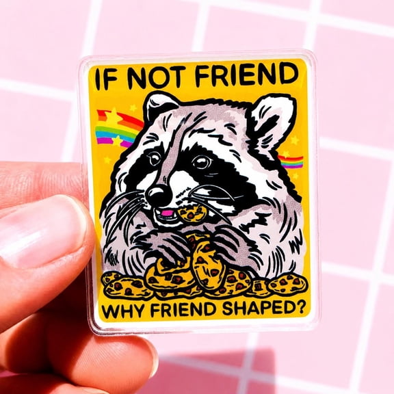 Best Friend Gift Magnet Raccoon Themed Gift Idea Trash Panda Home Decor Weird Stuff Goofy Humor Magnet Fridge Decor Quirky Locker Teen