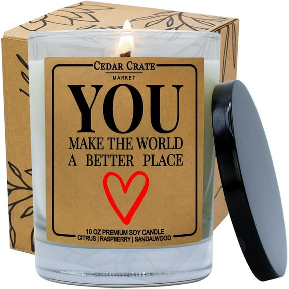 Best Friend Gift | You Make The World A Better Place | Scented Candle for Women, Her, Best Friend, Bestie, , Mother, Sister, Coworker on Birthday, Farewell, Christmas - Raspberry Sandalwood