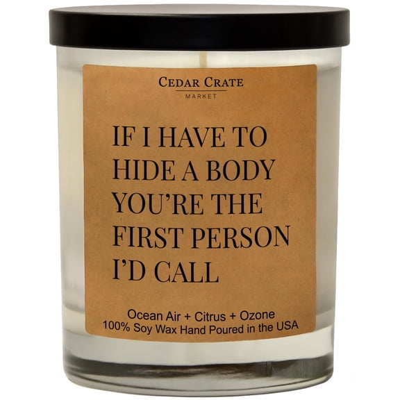 Best Friend Presents for Women Who Have Everything, Gifts for Her, Funny Scented Candle, Unique for Her, Sister, Co-Worker Friendship - Ocean Air, Citrus, Ozone, Soy Wax Handmade in The USA A101