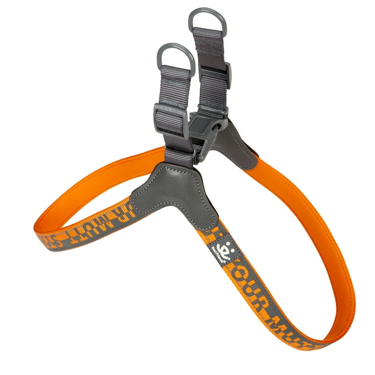 Best friends dog harness sale