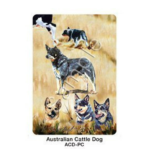 Best Friends Playing Cards, By Ruth Maystead Australian Cattle Dog