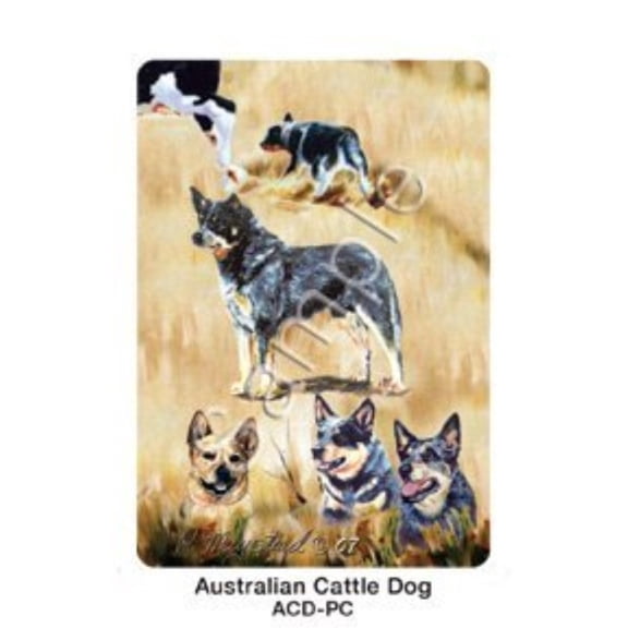 best friends playing cards, by ruth maystead - australian cattle dog