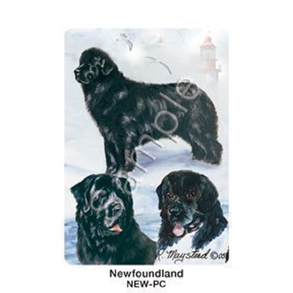 Best Friends Playing Cards, by Ruth Maystead - Newfoundland