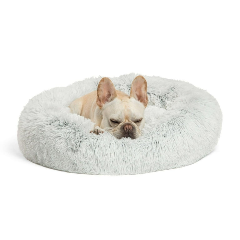 Best friends by sheri cat clearance bed